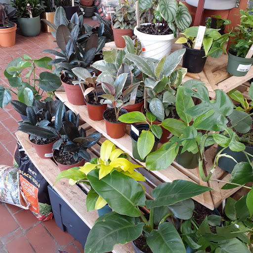 Hardware Store «Hardware 2.0», reviews and photos, 860 Atlantic Ave, Brooklyn, NY 11238, USA