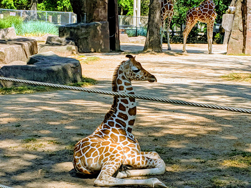 Zoo «Milwaukee County Zoo», reviews and photos, 10001 W Bluemound Rd, Milwaukee, WI 53226, USA