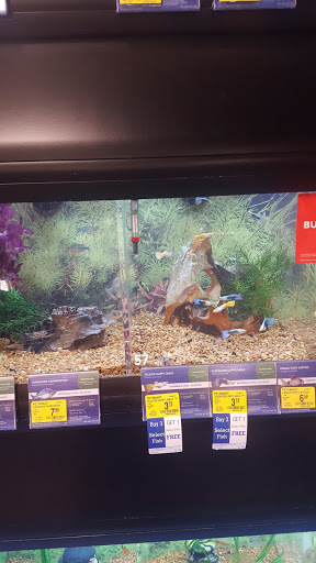 Pet Supply Store «PetSmart», reviews and photos, 4400 Fort Jackson Blvd #300, Columbia, SC 29209, USA