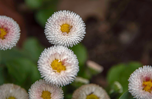 Botanical Garden «Ashton Gardens at Thanksgiving Point», reviews and photos, 3900 Garden Dr, Lehi, UT 84043, USA