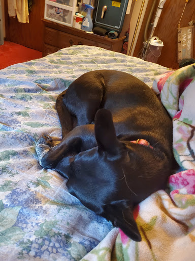 Store «Country Pet Farm & Garden Ltd», reviews and photos, 26170 Territorial Rd, Rogers, MN 55374, USA