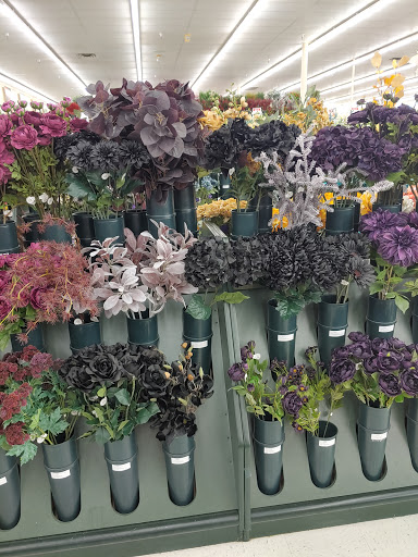 Craft Store «Hobby Lobby», reviews and photos, 901 S Interstate Hwy 35 #101, Georgetown, TX 78626, USA