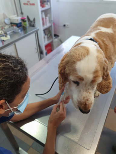 Clínica Veterinaria Santa Eufemia en Tomares