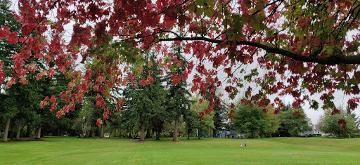 Park «132nd Square Park», reviews and photos, 13159 132nd Ave NE, Kirkland, WA 98034, USA