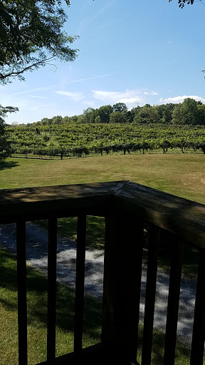 Vineyard «North Mountain Vineyard and Winery», reviews and photos, 4374 Swartz Rd, Maurertown, VA 22644, USA