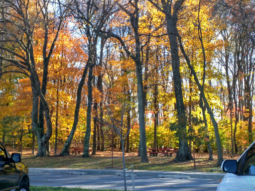 Golf Club «Musket Ridge Golf Club», reviews and photos, 3555 Brethren Church Rd, Myersville, MD 21773, USA