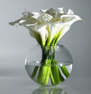 Florist «Exotica Florist», reviews and photos, 10376 Main Street, Fairfax, VA 22030, USA