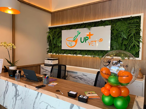 UpVet Bauru em Bauru - SP