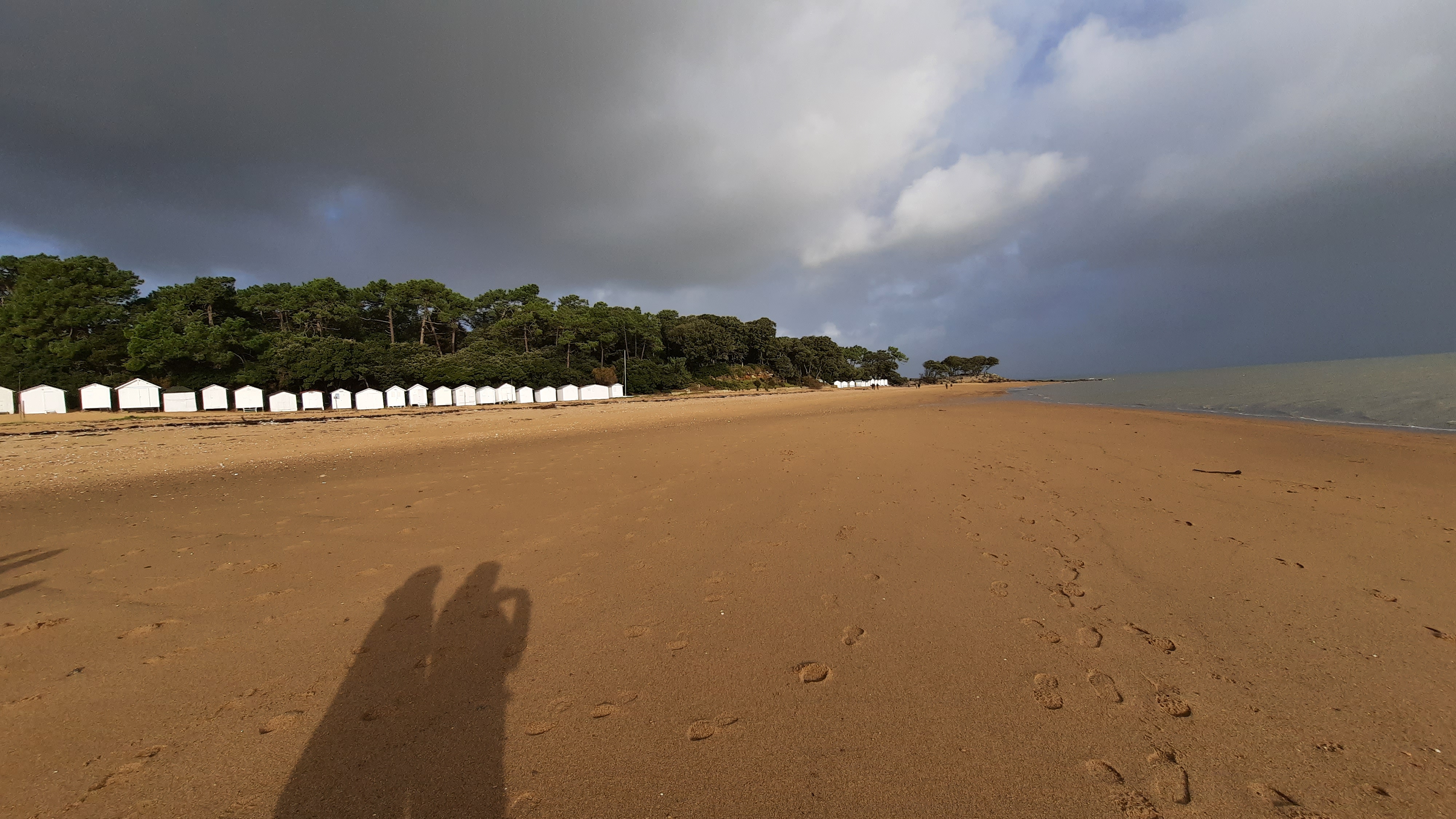 Photo n° 2 de l'avis de Joncheray.a fait le 31/12/2023 à 23:46