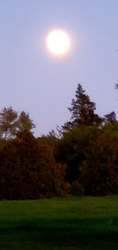 Country Club «Metacomet Country Club», reviews and photos, 500 Veterans Memorial Pkwy, East Providence, RI 02914, USA