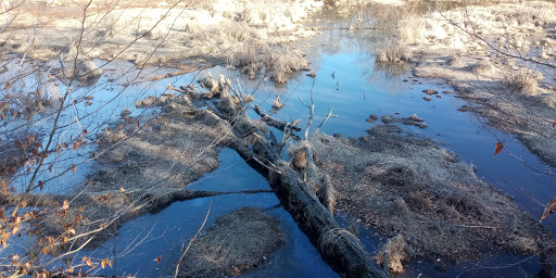 Nature Preserve «Jug Bay Wetlands Sanctuary», reviews and photos, 1361 Wrighton Rd, Lothian, MD 20711, USA