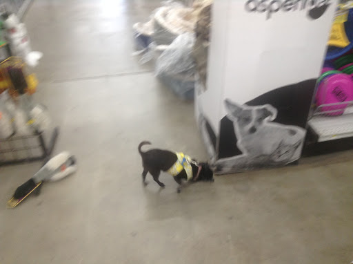 Pet Supply Store «Pet Club Hayward», reviews and photos, 27451 Hesperian Blvd, Hayward, CA 94545, USA