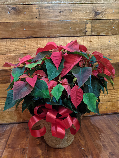 Florist «Something Special Florist», reviews and photos, 1546 Main St, Columbia, SC 29201, USA