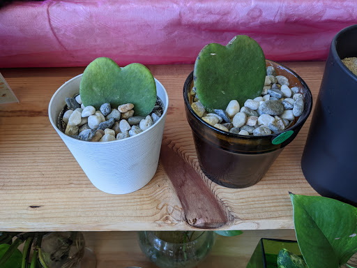 Florist «Tony Rossi Sons Florists», reviews and photos, 1508 Fruitvale Ave, Oakland, CA 94601, USA