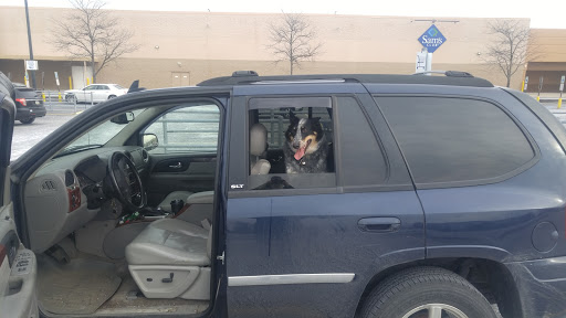 Pet Supply Store «PetSmart», reviews and photos, 3794 Easton-Nazareth Hwy, Easton, PA 18045, USA