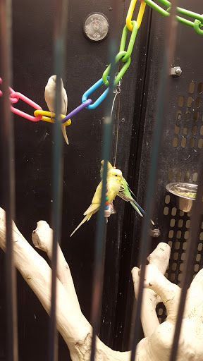 Pet Supply Store «PetSmart», reviews and photos, 89 Commercial Rd, Leominster, MA 01453, USA