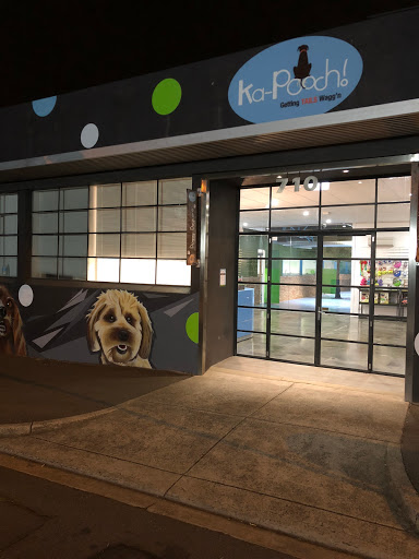 Kip Kew Dog Daycare