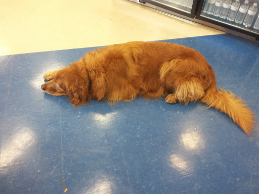 Lumber Store «Canby Builders Supply», reviews and photos, 102 S Pine St, Canby, OR 97013, USA