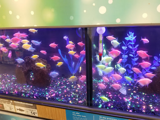 Pet Supply Store «Petco Animal Supplies», reviews and photos, 6425 Keizer Station Blvd, Keizer, OR 97303, USA