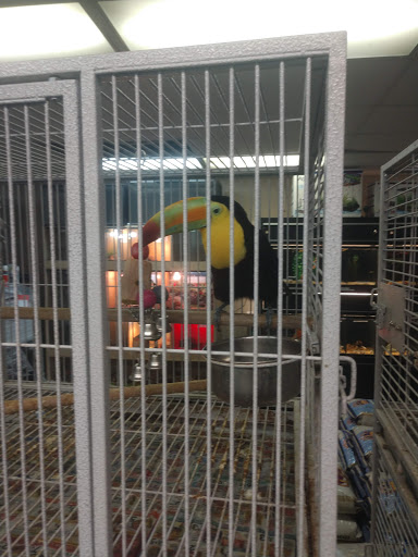 Pet Supply Store «Melis Granero Pet Shop Feed&Supply», reviews and photos, 224 E Foothill Blvd, Rialto, CA 92376, USA