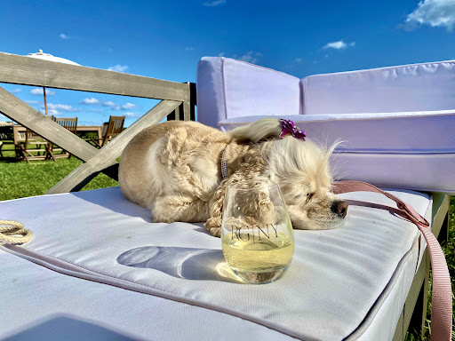 Winery «Martha Clara Vineyards», reviews and photos, 6025 Sound Ave, Riverhead, NY 11901, USA