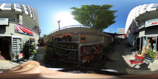 Hardware Store «Glover Park Ace Hardware», reviews and photos, 2233 Wisconsin Ave NW, Washington, DC 20007, USA