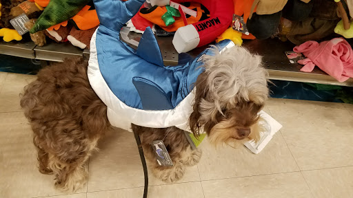 Pet Supply Store «Petco Animal Supplies», reviews and photos, 993 Branson Hills Pkwy, Branson, MO 65616, USA