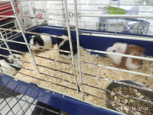 Pajarería El Reclamo - Vélez-Málaga