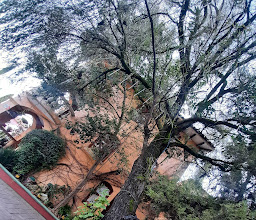 Restaurante Mi Lupita photo