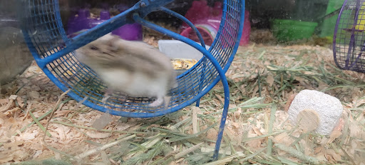 Animal Feed Store «All Pet Feed & Tack», reviews and photos, 25598 E Baseline St, San Bernardino, CA 92410, USA