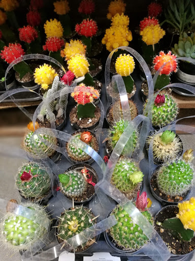 Home Improvement Store «The Home Depot», reviews and photos, 3350 N Woodlawn Blvd, Wichita, KS 67220, USA