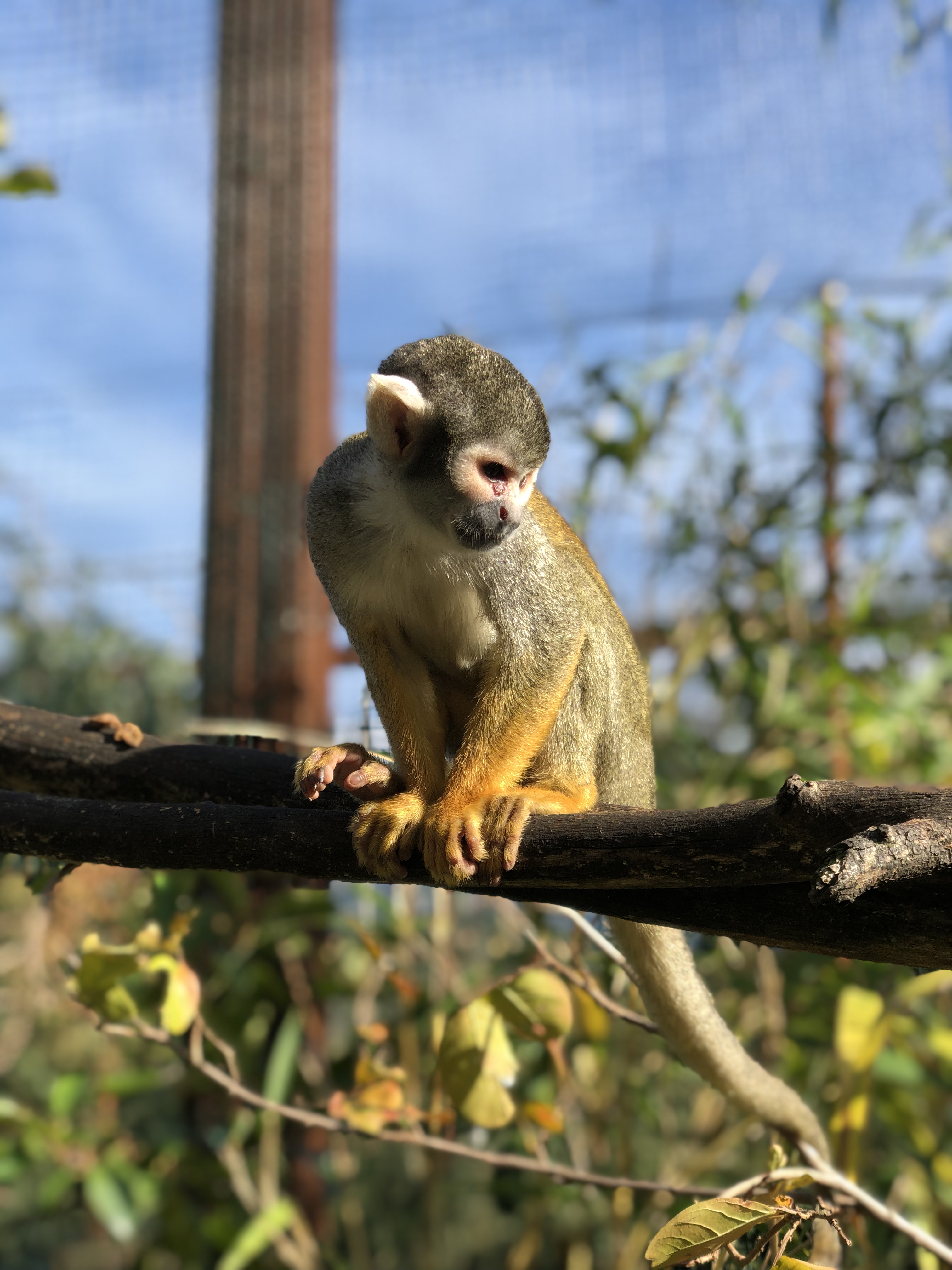 Photo n° 4 de l'avis de Olivier.a fait le 07/11/2018 à 06:49
