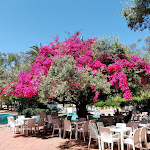 Photo n°5 de l'avis de Else.u fait le 13/06/2019 à 17:41 sur le  Borgo Cala Moresca à Arbatax