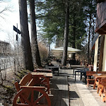 Photo n°5 de l'avis de Paolo.e fait le 28/02/2019 à 14:15 sur le  Bosco Della Serenissima à Nervesa della Battaglia