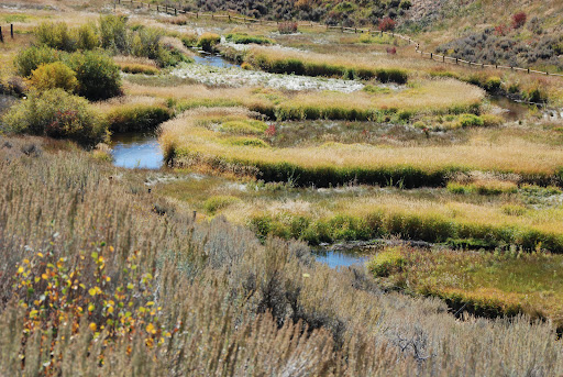 Nature Preserve «Swaner Preserve and EcoCenter», reviews and photos, 1258 Center Dr, Park City, UT 84098, USA