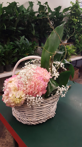 Florist «San Antonio Flower Co», reviews and photos, 7538 Broadway St, San Antonio, TX 78209, USA