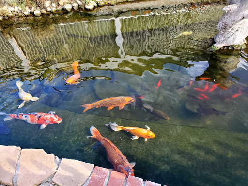 Florist «Loose Caboose LLC», reviews and photos, 18492 E Telegraph Rd, Santa Paula, CA 93060, USA