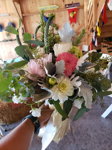 Garden Center «Town & Country Nurseries», reviews and photos, 1036 Saybrook Rd, Haddam, CT 06438, USA