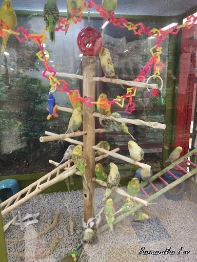 Pet Supply Store «Petco Animal Supplies», reviews and photos, 48 Watertower Plaza, Leominster, MA 01453, USA