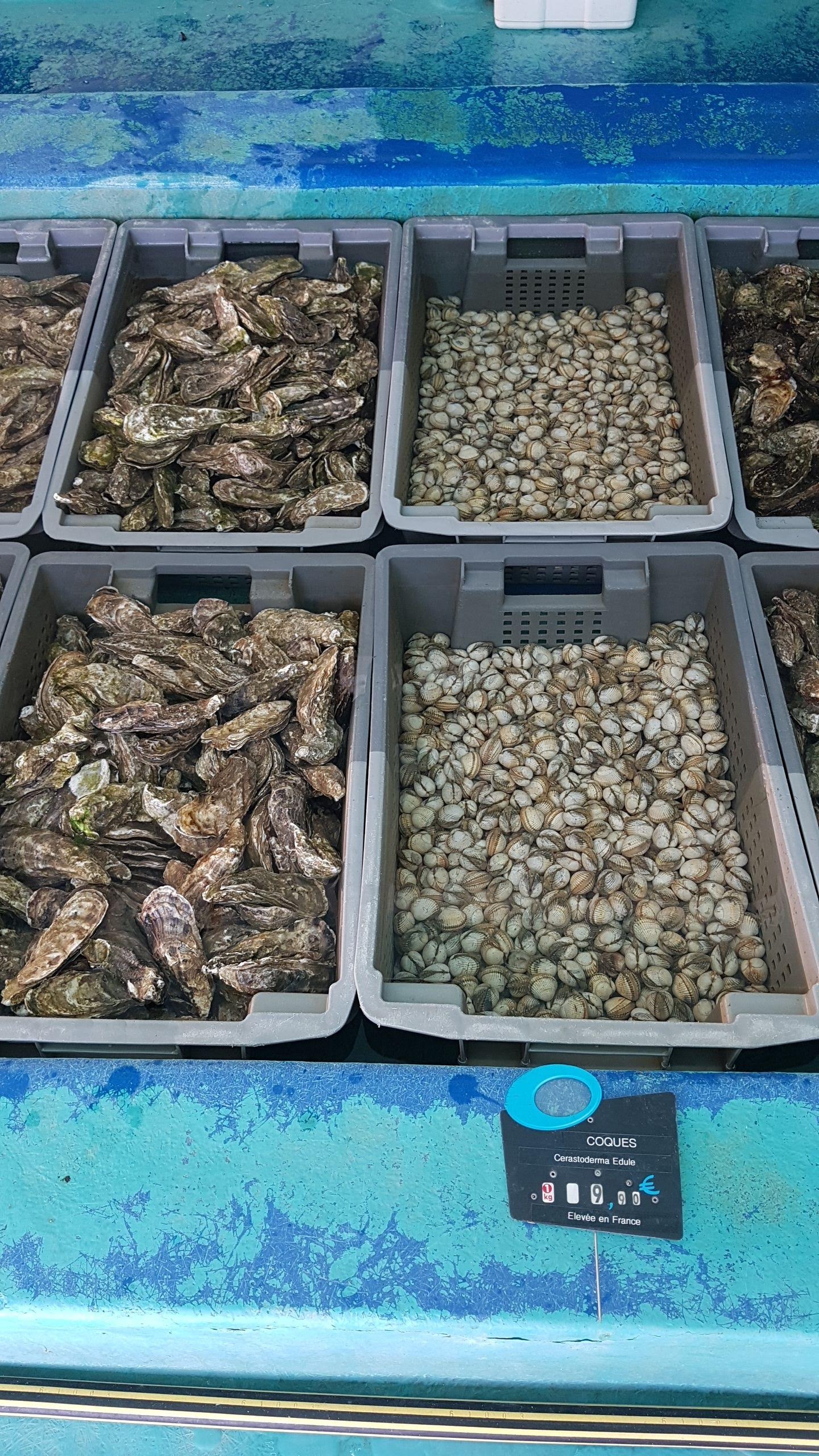 Photo n° 4 de l'avis de Laetitia.e fait le 15/07/2019 à 10:39