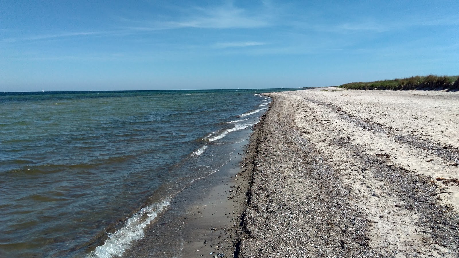 Foto af Maasholm strand med turkis rent vand overflade