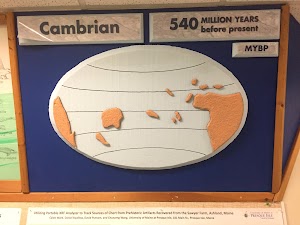 Northern Maine Museum Of Science - photo 16