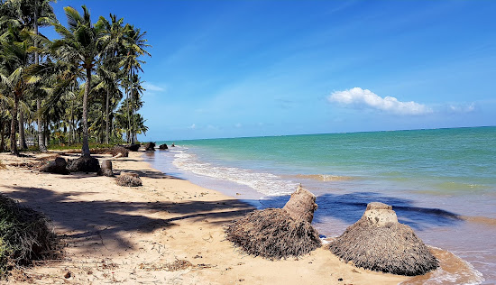 Praia de Tatuamanha