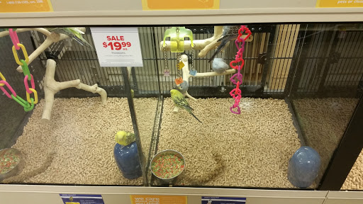 Pet Supply Store «PetSmart», reviews and photos, 47142 Michigan Ave, Canton, MI 48188, USA