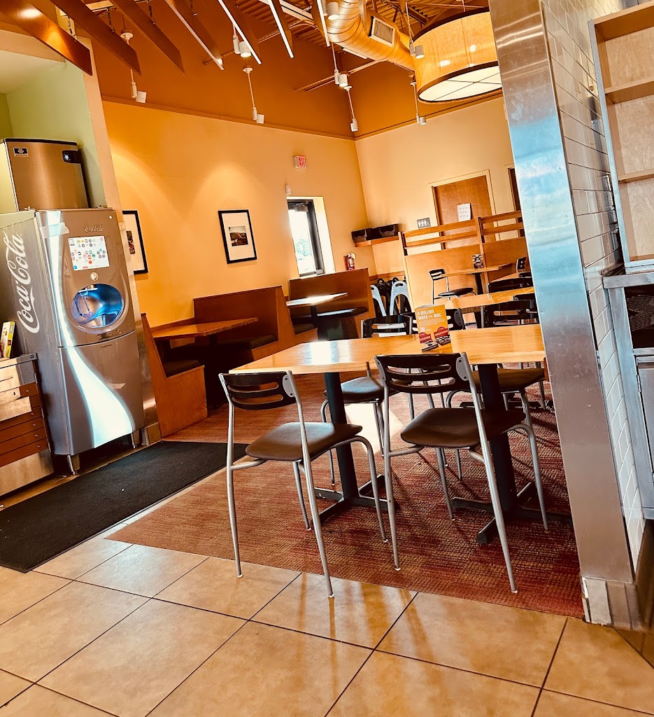 Noodles and Company 50702