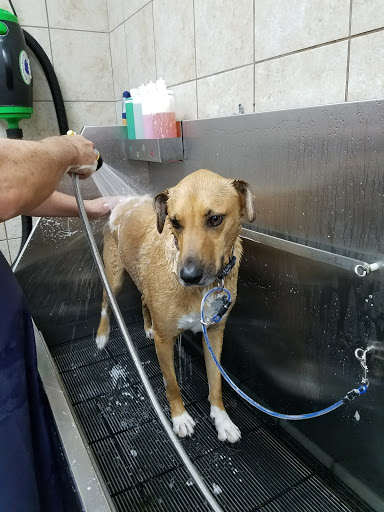 Pet Supply Store «Pet Supplies Plus», reviews and photos, 1012 W Hebron Pkwy #120, Carrollton, TX 75010, USA