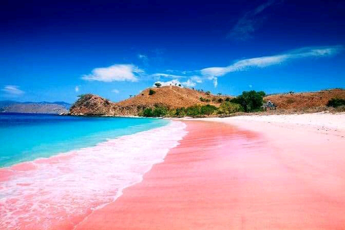 Pink Beach Lombok Photo