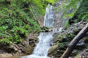 Grießenbach Wasserfall image