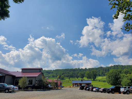 Winery «Alba Vineyard», reviews and photos, 269 Riegelsville Warren Glen Rd, Milford, NJ 08848, USA