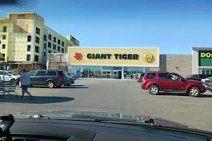 Giant Tiger image